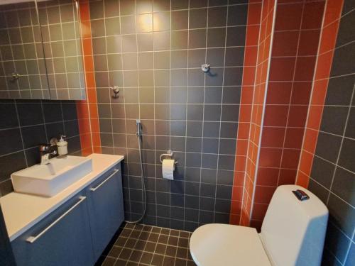 a bathroom with a toilet and a sink at Aparthotel Simpsiönkullas in Lapua