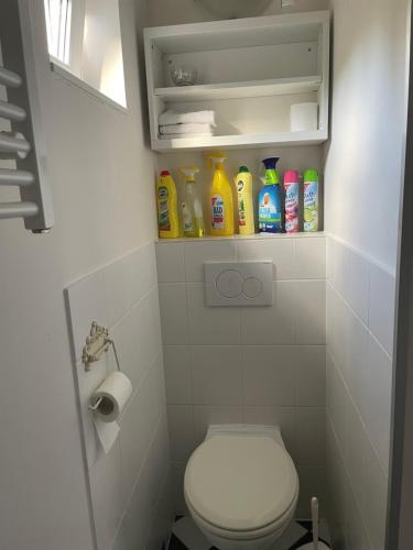 a bathroom with a toilet and various cleaning products at Ferienwohnung in Werder Havel Innenstadt in Werder