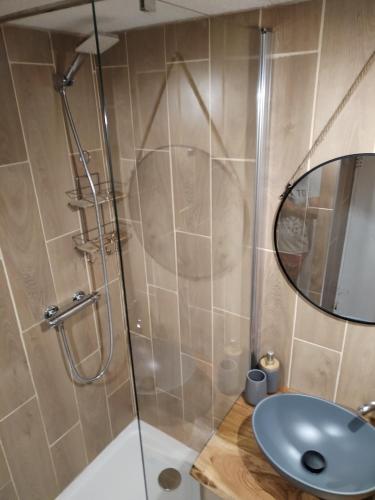 une salle de bain avec une douche, un lavabo et un miroir dans l'établissement Appartement 8 couchages 45 m2 tout confort à la foux d'allos, à La Foux