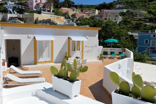 una vista de una casa con cactus en Piccolo Hotel Luisa, en Ponza