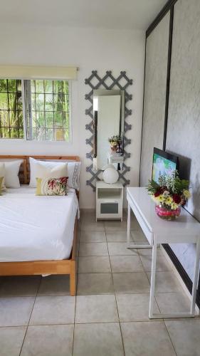 a bedroom with a bed and a desk and a mirror at Cozy Apartment in La Romana