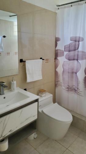 a bathroom with a toilet and a sink and a shower at Cozy Apartment in La Romana