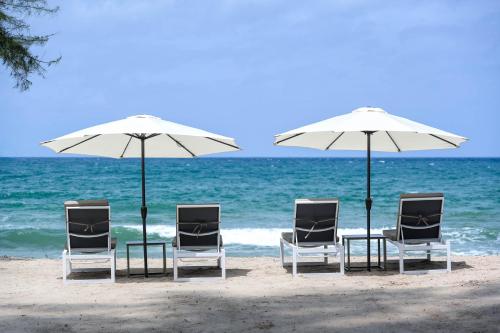 Amora Beach Resort Phuket - SHA Extra Plus – Photos 3