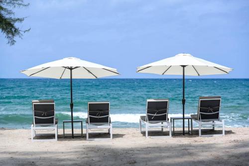 a group of chairs and umbrellas on the beach at Amora Beach Resort Phuket - SHA Extra Plus in Bang Tao Beach