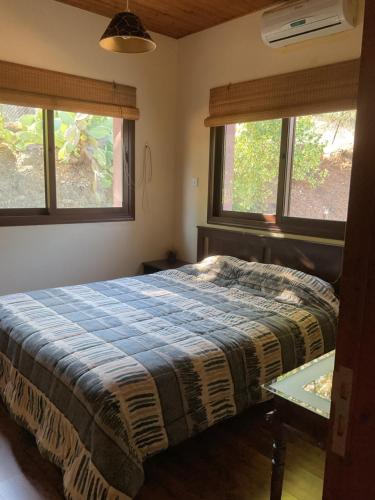 een slaapkamer met een bed en 2 ramen bij Evie's House Arakapas in Arakapas