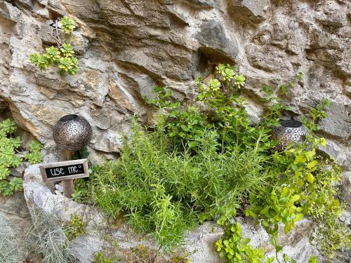 a stone wall with plants and a use me sign at HOLIDAY HOUSE - River Bača in Most na Soči