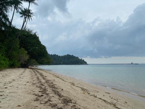 una playa con una palmera y el océano en Bamboo Forest Beach Villa, Nongsa, en Telukmataikan