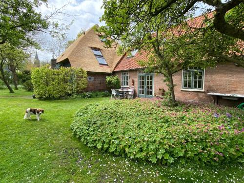 un perro parado en el patio de una casa en De Windroos | Atelier Aan Zee, en Groet