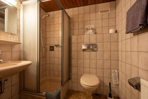a bathroom with a shower and a toilet and a sink at Zur Schmitte in Schmallenberg