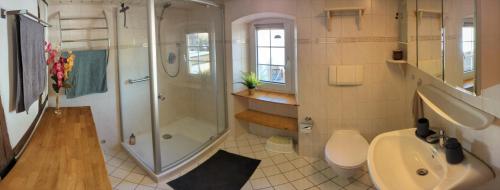 y baño con ducha, lavabo y aseo. en Haus Mühlenweg, en Maring-Noviand
