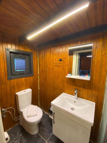 a bathroom with a toilet and a sink and a tv at Golifehouses in Arnavutköy