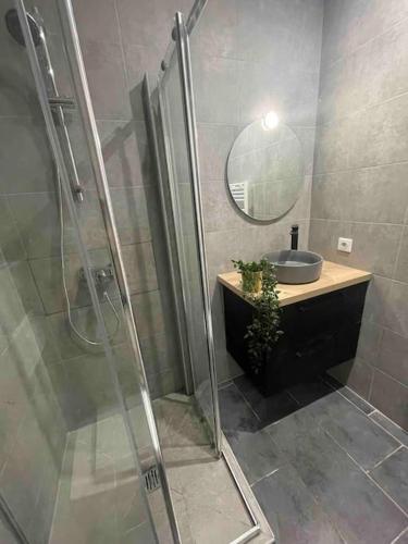 a bathroom with a shower and a sink and a mirror at Studio tout confort, au pied de toute commodité, 2 in Créteil