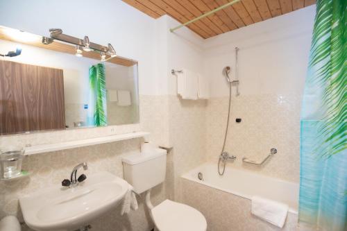 Gallery image of Hotel Alpenhof in Saas-Almagell