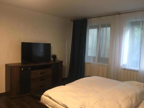 1 dormitorio con 1 cama y TV de pantalla plana en Apartment Queen Bridge en Sibiu