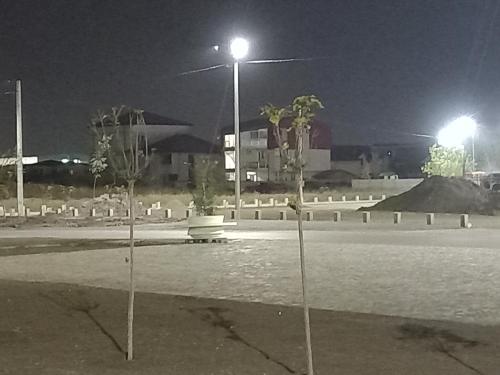 two palm trees in the middle of a street at night at Twins Residence 2 APART HOTEL AP 2 2 rooms in Chiajna