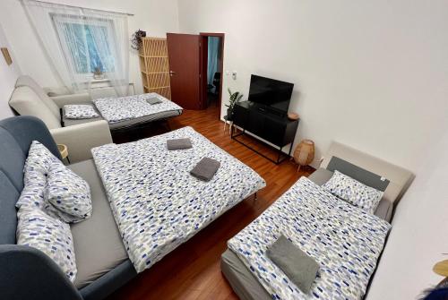 普勒洛夫的住宿－Sušilova 14 apartments IV，客厅配有两张沙发和一台电视