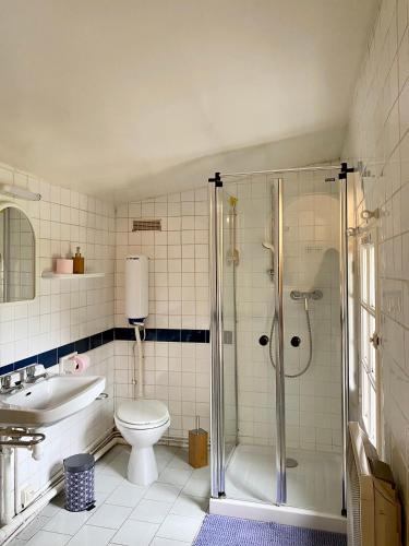 une salle de bain avec une douche, des toilettes et un lavabo dans l'établissement Maison Voltaire, à Bonsecours