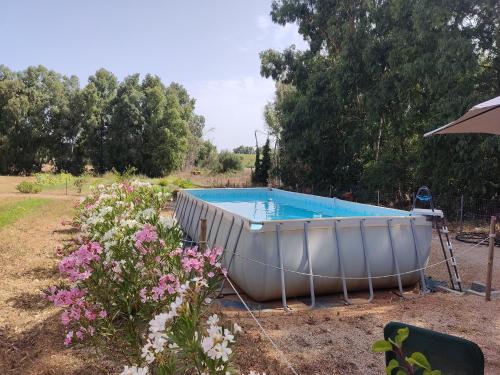 una bañera sentada en un patio junto a las flores en Guesthouse Pintadera, en Santa Maria la Palma