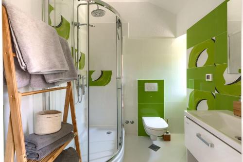 baño verde con ducha y aseo en Villa Vin with 2 bedrooms and pool in Porec, en Nova Vas