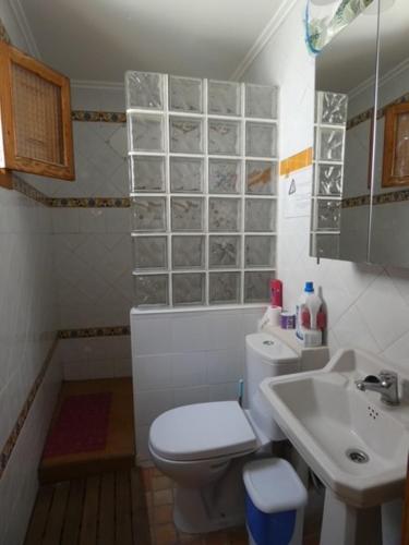 a small bathroom with a toilet and a sink at Casa de Pueblo - Costa Blanca in Oliva