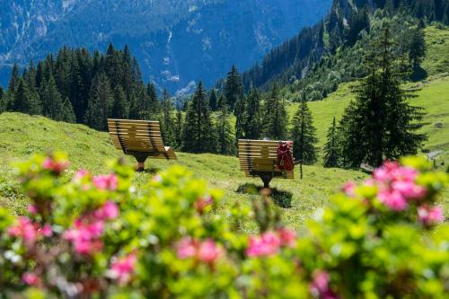 two park benches sitting on a hill with flowers at Haus Adrian in Wald am Arlberg