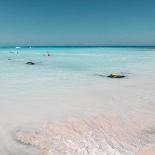 a group of people in the water at the beach at MORF suites in Casale Marittimo