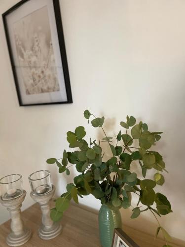 a vase with a plant on a table with two glasses at Weberhof - Münster 6 in Münster
