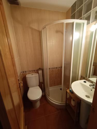 a bathroom with a toilet and a shower and a sink at El rincon de los enebros in Ruidera