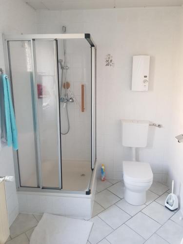 a bathroom with a shower and a toilet at Alter Bahnhof Blickweiler in Blieskastel