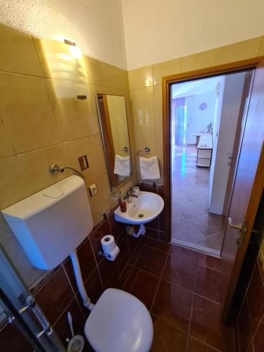 a bathroom with a toilet and a sink and a mirror at Apartments Hanna in Gdinj