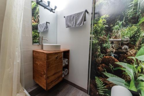 La salle de bains est pourvue d'un lavabo et d'une douche avec des plantes. dans l'établissement Sympathique appartement au pied du Futuroscope, à Jaunay-Clan