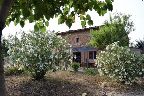 una casa vieja con dos árboles delante de ella en Sa Riba, Country house in Mallorca, en Son Carrió