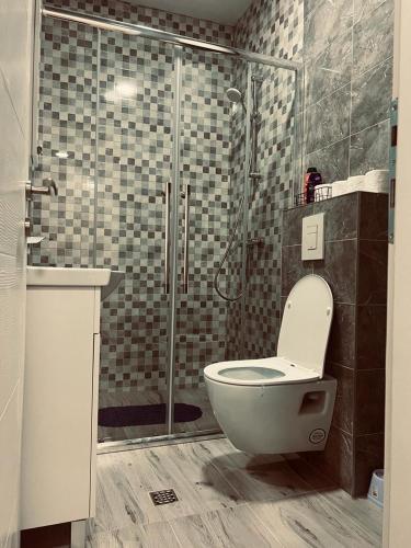 ein Bad mit einer Dusche, einem WC und einem Waschbecken in der Unterkunft Apartmani Edo in Stolac