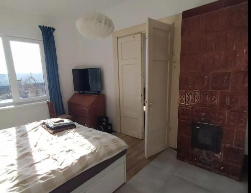1 dormitorio con 1 cama, TV y ventana en Hillside country house - Long stays en Vilna