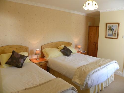 two beds in a bedroom with two lamps on tables at Maple Lodge in Wexford