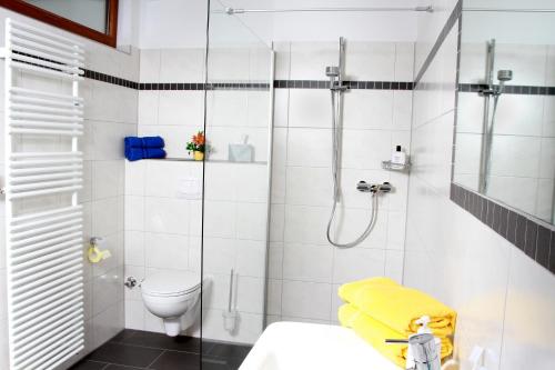 a bathroom with a shower and a toilet at Schwarzwald-Pension Fechtig in Ühlingen-Birkendorf