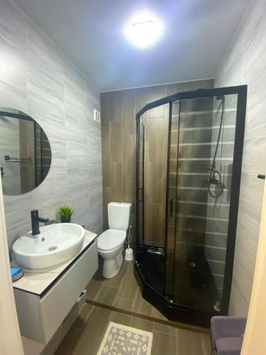 a bathroom with a shower and a toilet and a sink at Central City 1 Bedroom in Chişinău