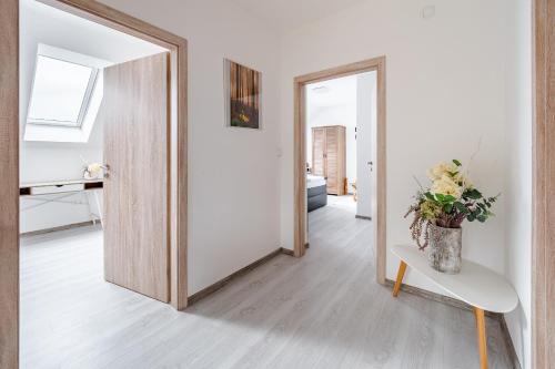 Φωτογραφία από το άλμπουμ του Apartmán Jasmin σε Frymburk