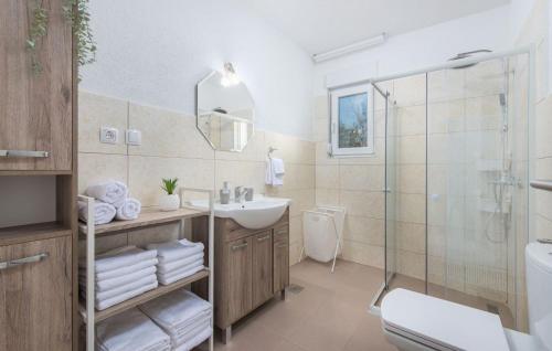 La salle de bains est pourvue d'un lavabo, de toilettes et d'une douche. dans l'établissement Villa Pendolina with pool and grill in Umag, à Buroli