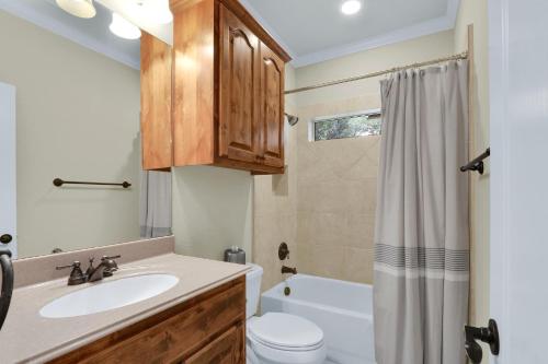 a bathroom with a sink and a toilet and a shower at Deer Haus Retreat in New Braunfels