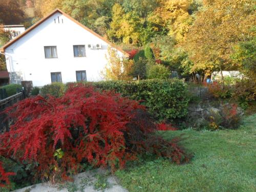 a house with a red bush in front of a yard at Pereszlényi Vendégház in Visegrád