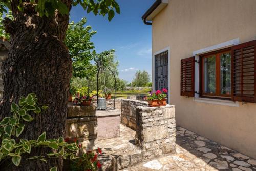 a tree next to a house with a window at Villa Greis with 4 bedrooms and pool in Buje in Momjan