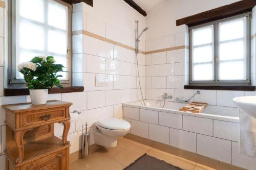 a bathroom with a toilet and a tub and a sink at Rustic villa Amyra with pool and grill in Porec in Sveti Lovreč Pazenatički