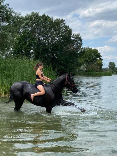 a woman riding a horse in the water at Przystanek Las in Gąsawa