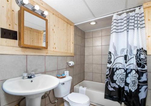 y baño con lavabo, aseo y cortina de ducha. en 1 Spacious Private Room Dog Friendly Leadville, en Leadville