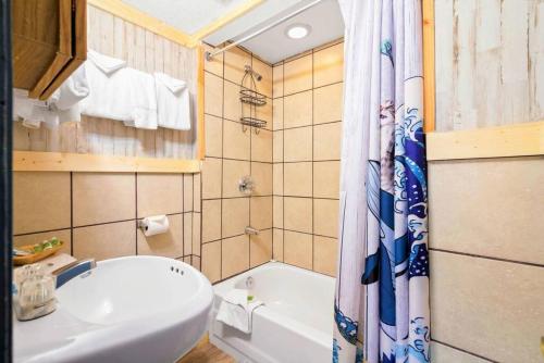 Koupelna v ubytování 11 Renovated Cozy Room Dog Friendly Leadville