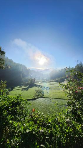 un campo verde con il sole nel cielo di Serenity homestay a Mamasa