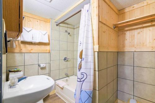 a bathroom with a sink and a shower curtain at 3 Private Room in Motel Dog Friendly Leadville in Leadville