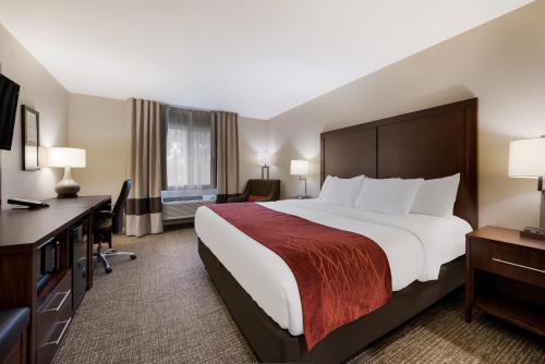 Habitación de hotel con cama grande y escritorio. en Comfort Inn Onalaska - La Crosse Area, en Onalaska