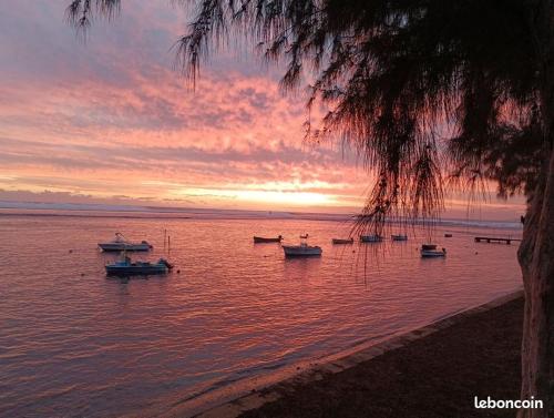 a group of boats in the water at sunset at TI KAZ PIROGUE in L'Étang-Salé les Bains